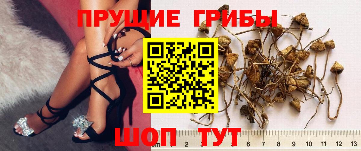 Галлюциногенные грибы мицелий  Вход с VPN  Арзамас 